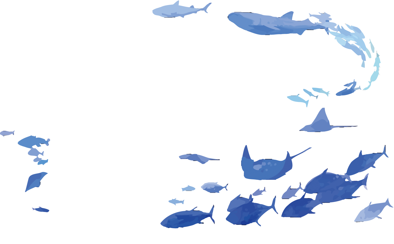 海葬服务