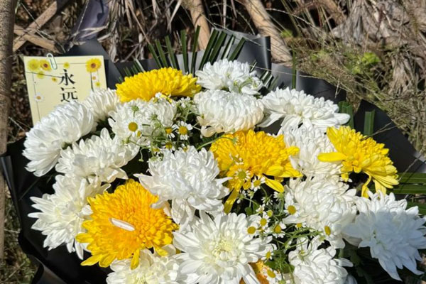 烧百日