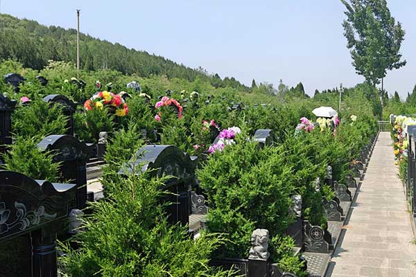 双峰山陵园祭扫 双峰山陵园祭扫