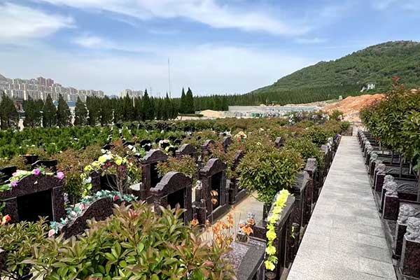 双峰山陵园烧纸 双峰山陵园烧纸